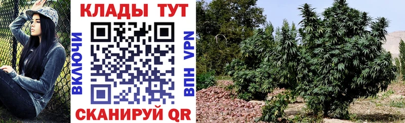 Купить наркотик аптеки Еманжелинск Каннабис  Alpha-PVP  ГАШИШ  МЕФ  COCAIN 